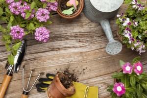 Chi fa l&rsquo;orto, mangia pi&ugrave; sano