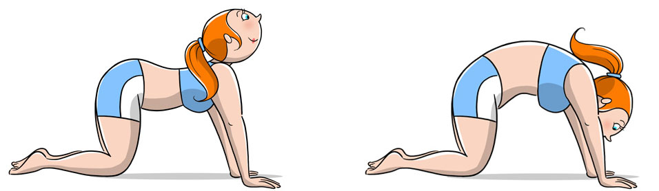 4 posizioni yoga da fare a casa per combattere lo stress 4 posizione%20gatto%201 2