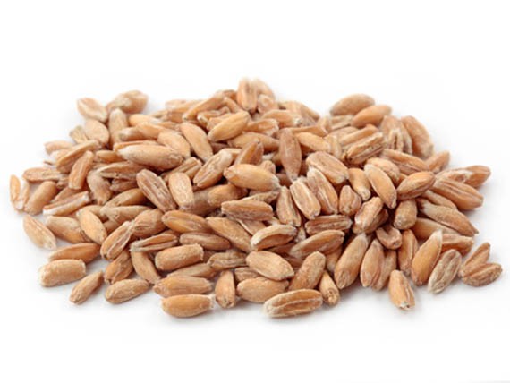 L'energia dei cereali ti aiuta a rimanere in forma 3 Farro. I cereali: più energia con leggerezza