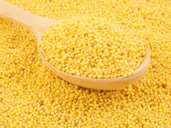 L'energia dei cereali ti aiuta a rimanere in forma 6 Miglio. I cereali: più energia con leggerezza