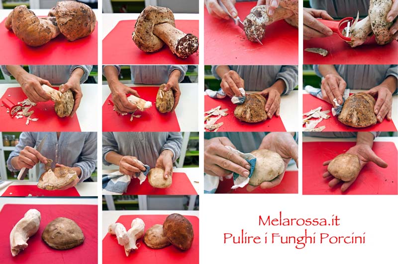 Come pulire i funghi: porcini e champignon 1 come pulire funghi porcini