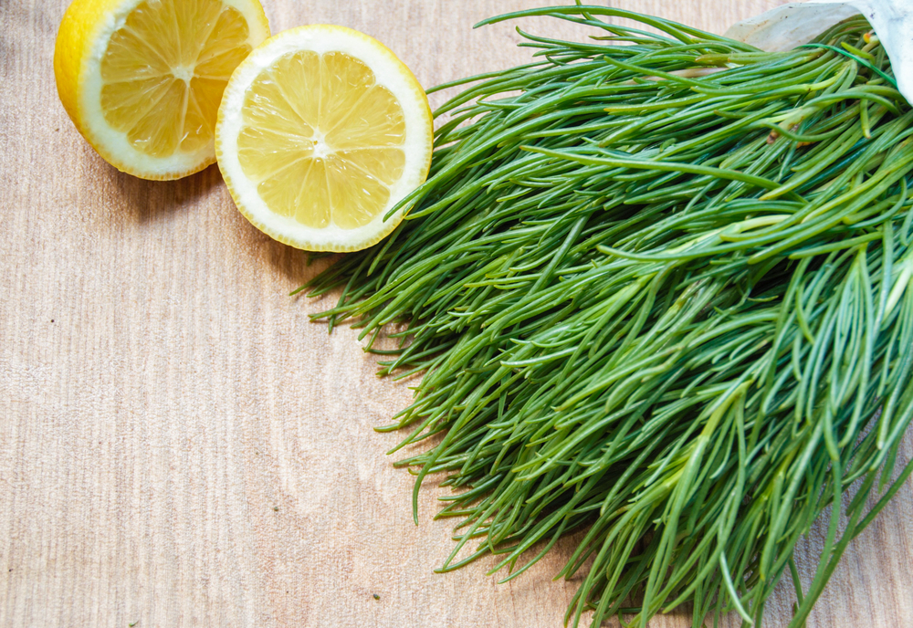 Verdura di stagione: cosa mangiare a maggio 1 verdura di maggio agretti