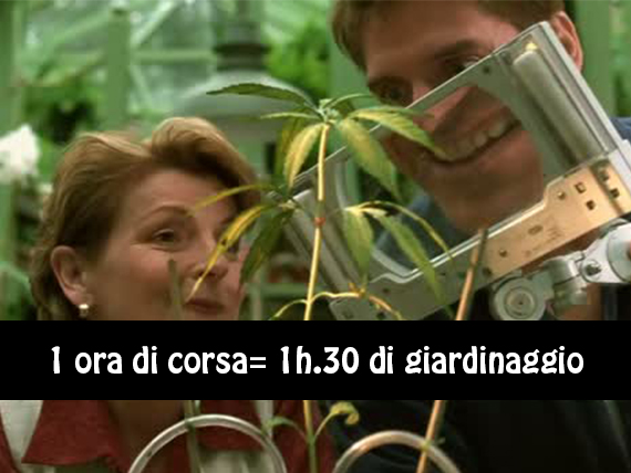 9 attività che fanno bruciare quanto la corsa 4 giardinaggio bruciare calorie