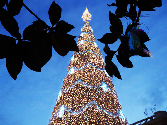 Il fascino di Napoli e Salerno a Natale 11 Salerno 17