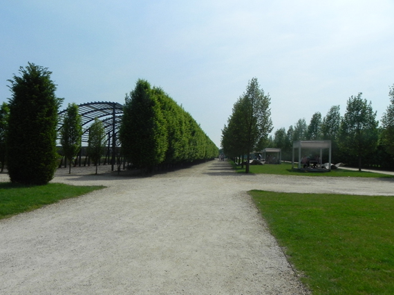 Provincia di Torino: alla scoperta della Venaria Reale 7 guarda lo spettacolo dei cibi e del luogo della venaria reale