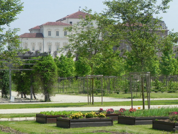 Provincia di Torino: alla scoperta della Venaria Reale 6 guarda lo spettacolo dei cibi e del luogo della venaria reale