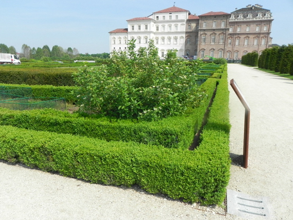 Provincia di Torino: alla scoperta della Venaria Reale 2 guarda lo spettacolo dei cibi e del luogo della venaria reale
