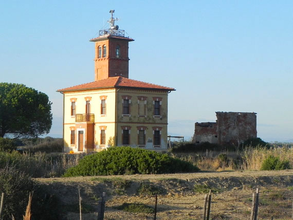 Viaggi e assaggi: la Maremma 13 maremma