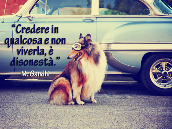 10 frasi di Gandhi per ritrovare la serenità dopo gli attentati 2 credere in qualcosa e non viverla