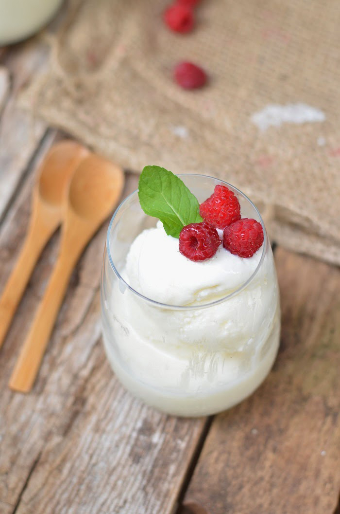 Menù vegetariano per le feste di Natale: ricette 4 gelato allo yogurt senza gelatiera