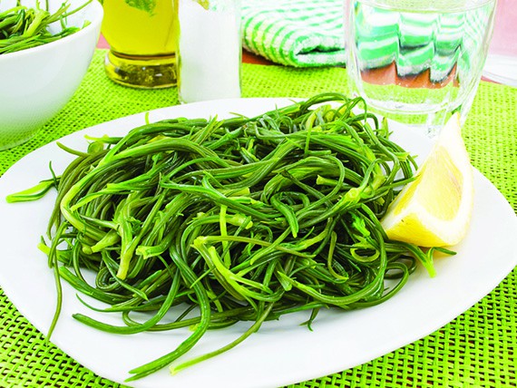 Verdura di aprile: cosa comprare in questa stagione 1 la verdura di aprile sana e nutriente e gustosa