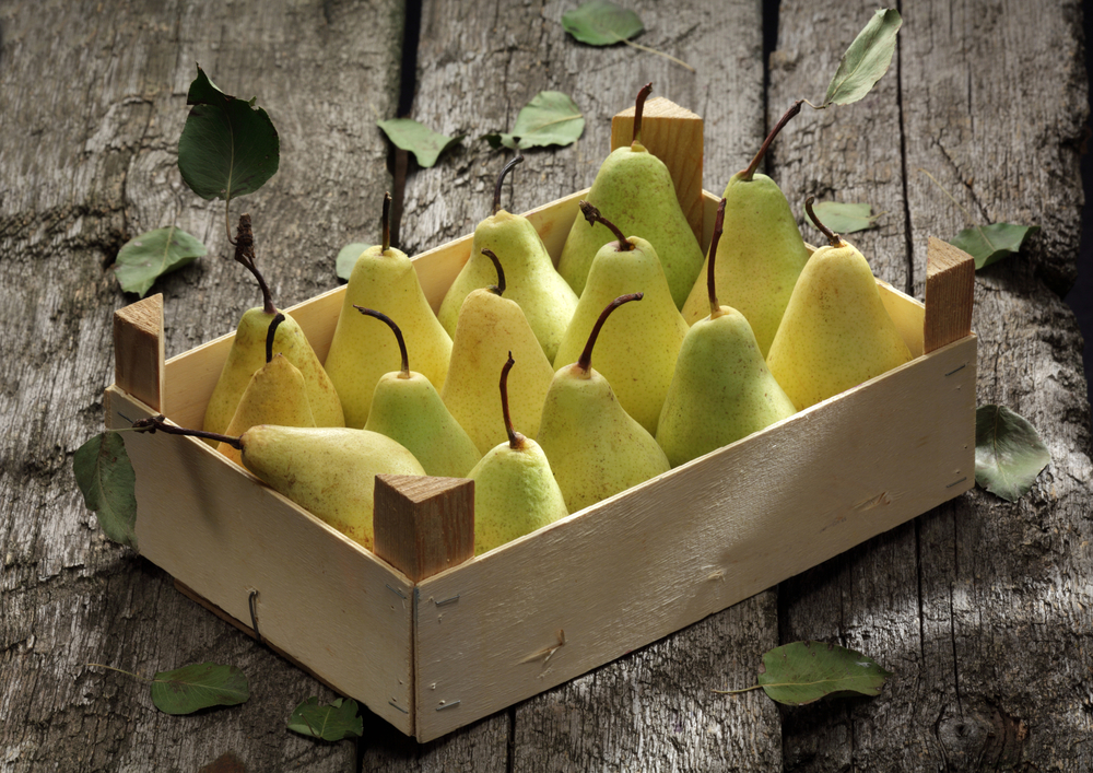 La frutta di febbraio da portare in tavola 5 pere fresche alimenti ricchi di fibre