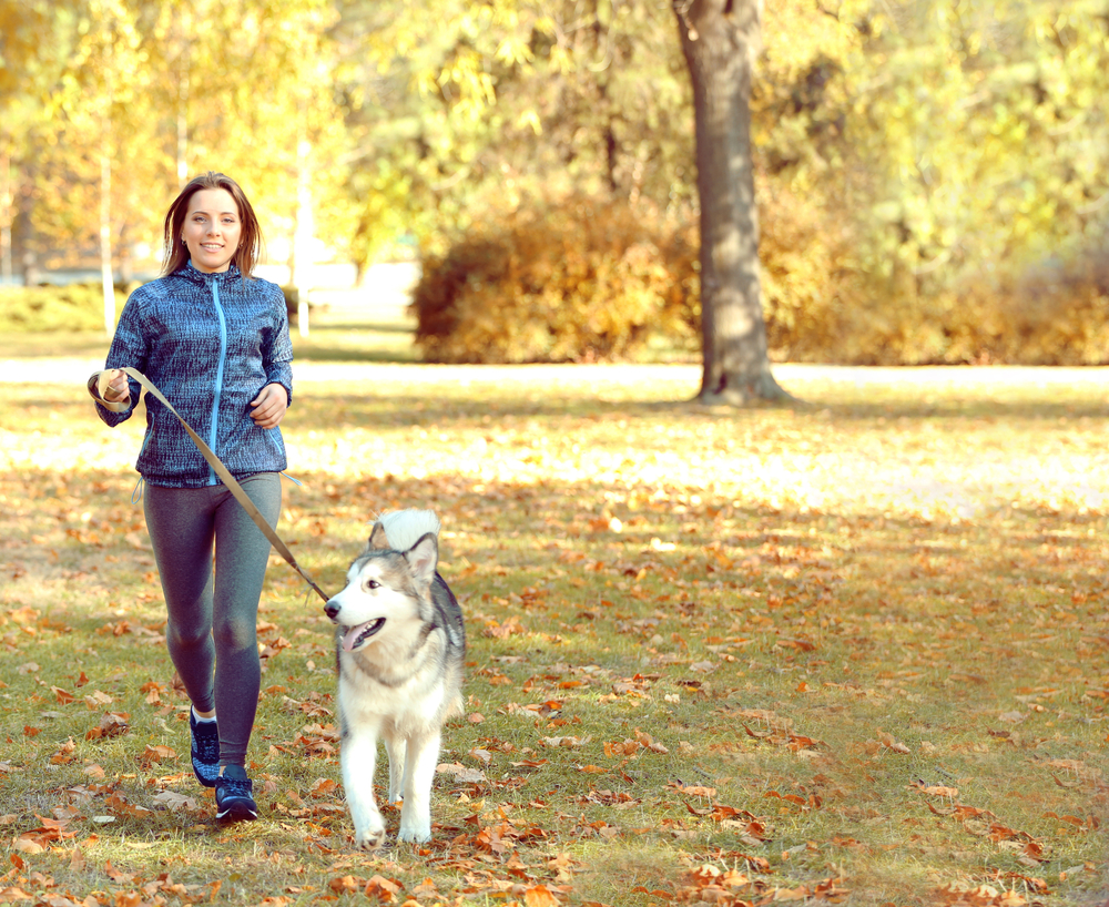 Gli sport tonificanti della primavera! 5 Passeggiare con il cane