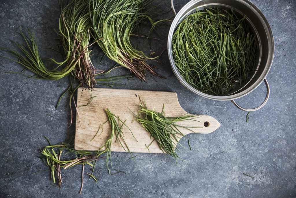 Insalata di agretti: la ricetta con pollo 2 ricette con agretti