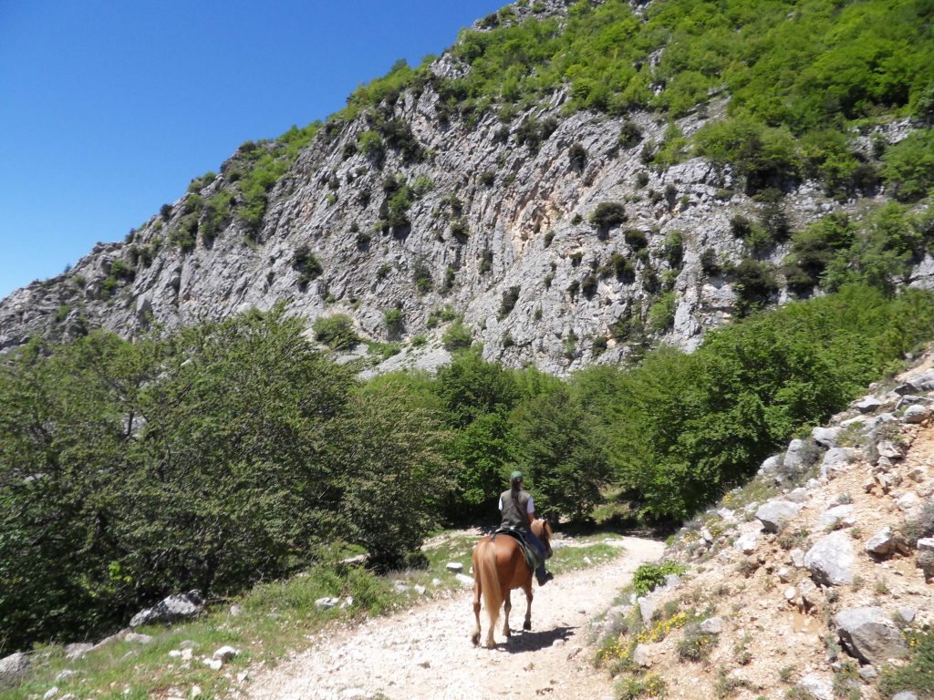 5 itinerari che mettono d'accordo linea e gusto 3 Itinerari delle Terre Pescaresi: la transumanza