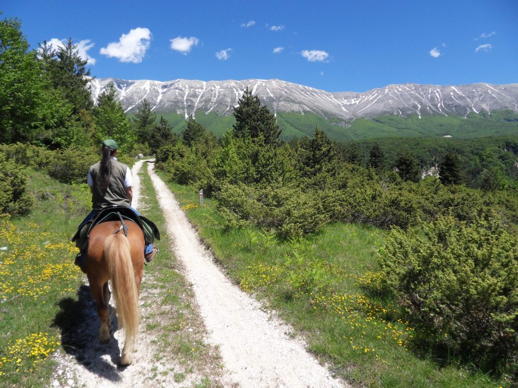 4 sport da fare all'aria aperta per divertirti e bruciare calorie 1 Sport all'aria aperta: equitazione in Abruzzo