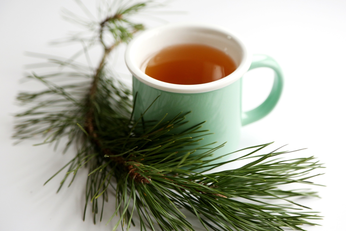 Rimedi naturali per il raffreddore: piante, tisane e rimedi della nonna per prevenire e curare 7 Rimedi naturali raffreddore: abete bianco