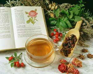 Rosa canina: propriet&agrave;, benefici, usi e controindicazioni