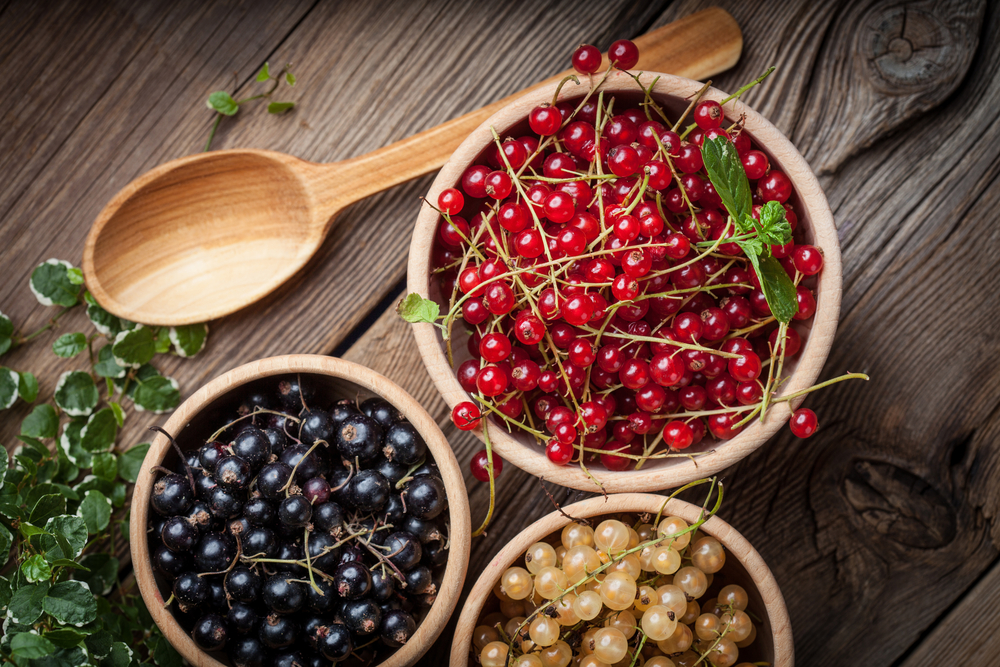 La frutta di luglio, fresca e succosa 10 frutta di luglio ribes