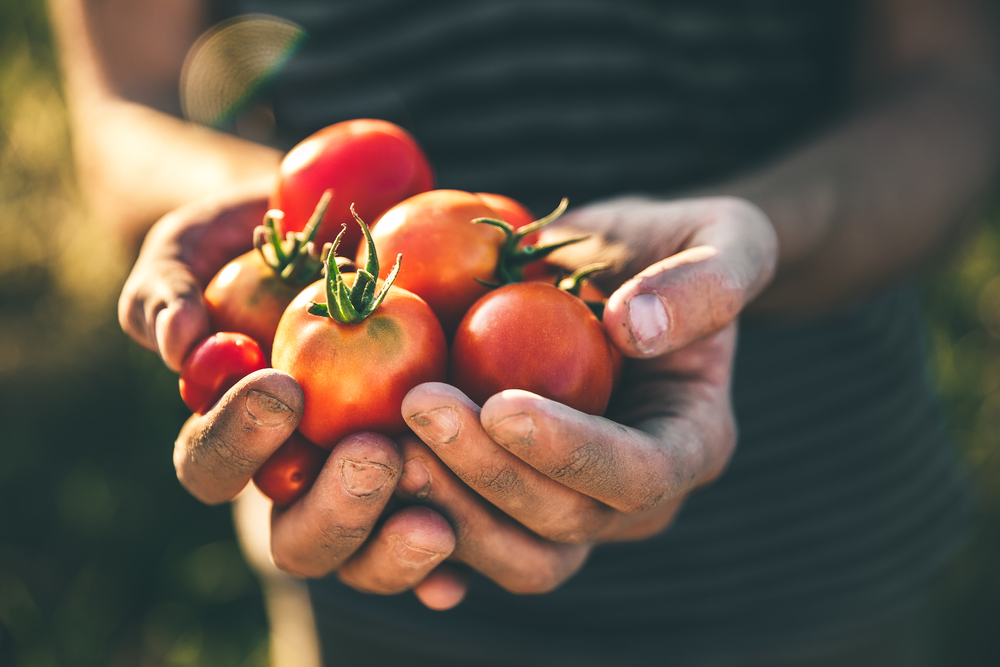 10 cibi da consumare per non ingrassare d'estate 10 cibi per non ingrassare questo estate: i pomodori