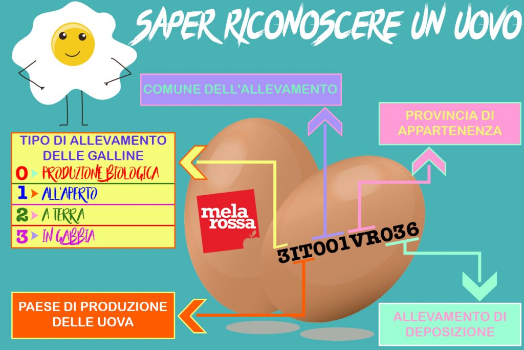 Uova contaminate: quali rischi e cosa fare 1 Uova contaminate: impara a leggere l'etichetta