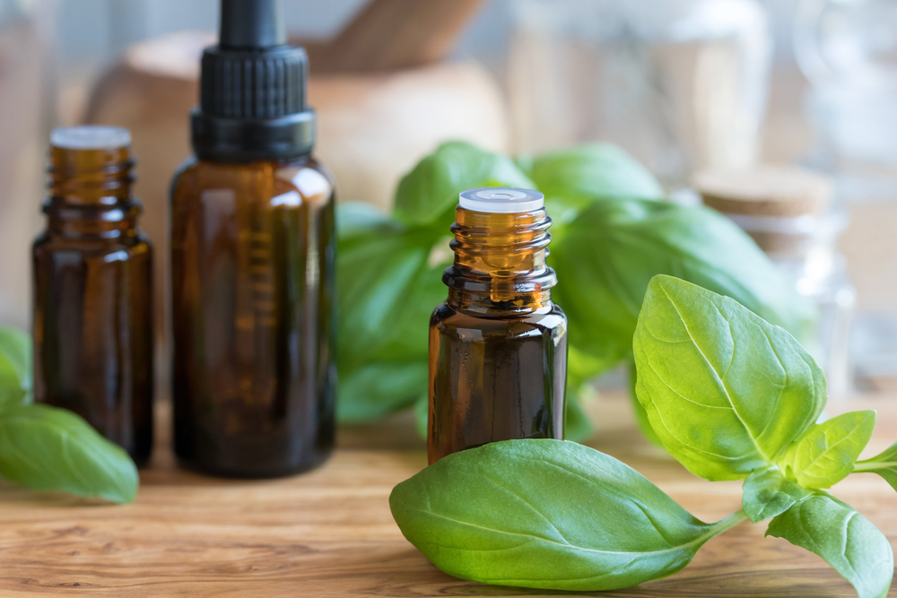 Gli oli essenziali contro l'ansia per un autunno senza stress 4 oli essenziali basilico
