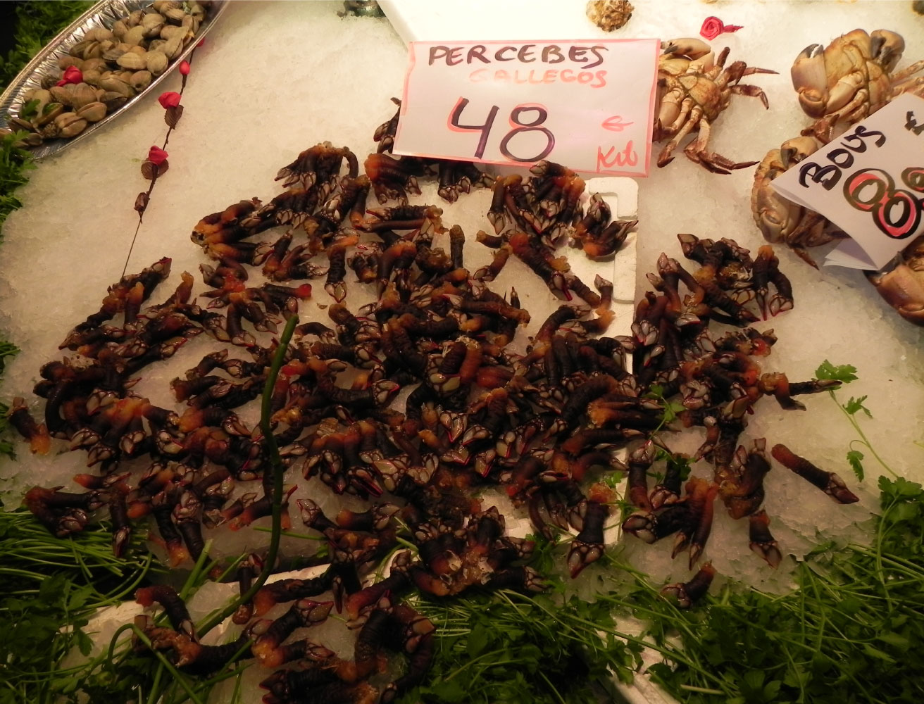 Barcellona, i tanti tesori di una città in lotta per l'indipendenza 9 boqueria percebes