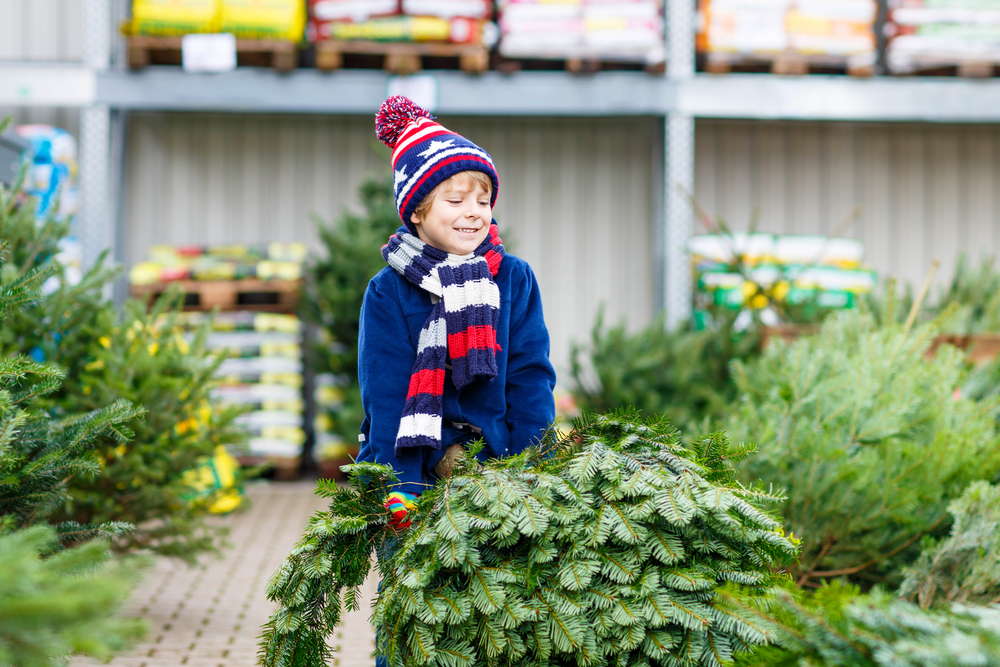Albero di Natale in versione “green”: tutte le regole per salvaguardare l’ambiente 1 albero di Natale: consigli per acquisto