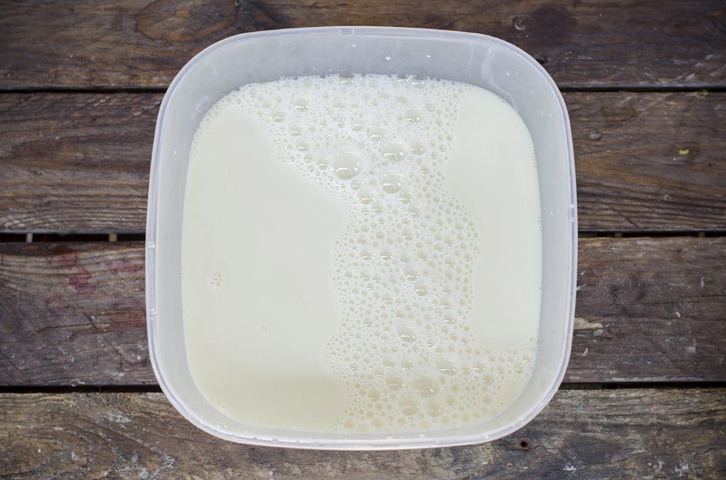 Yogurt di soia fatto in casa senza yogurtiera 2 come preparare in casa lo yogurt di soia