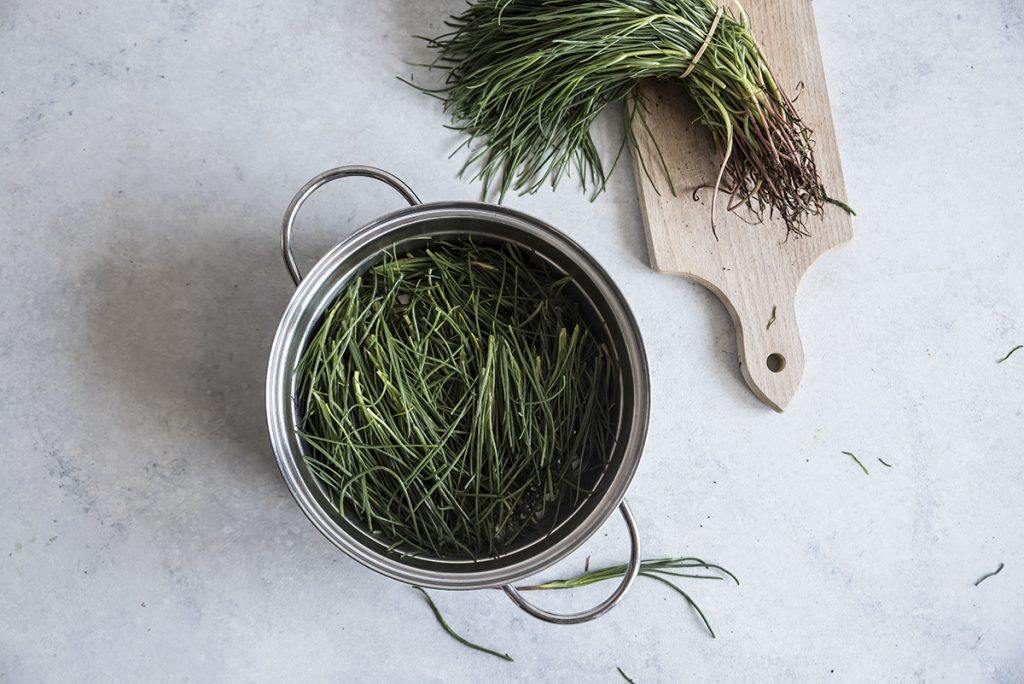 Frittata con agretti e ricotta al forno 3 frittata con agretti ingredienti