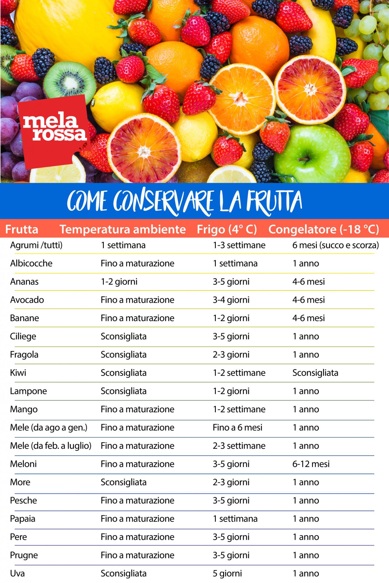 Spreco alimentare: consigli per conservare frutta e verdura 1 come conservare la frutta