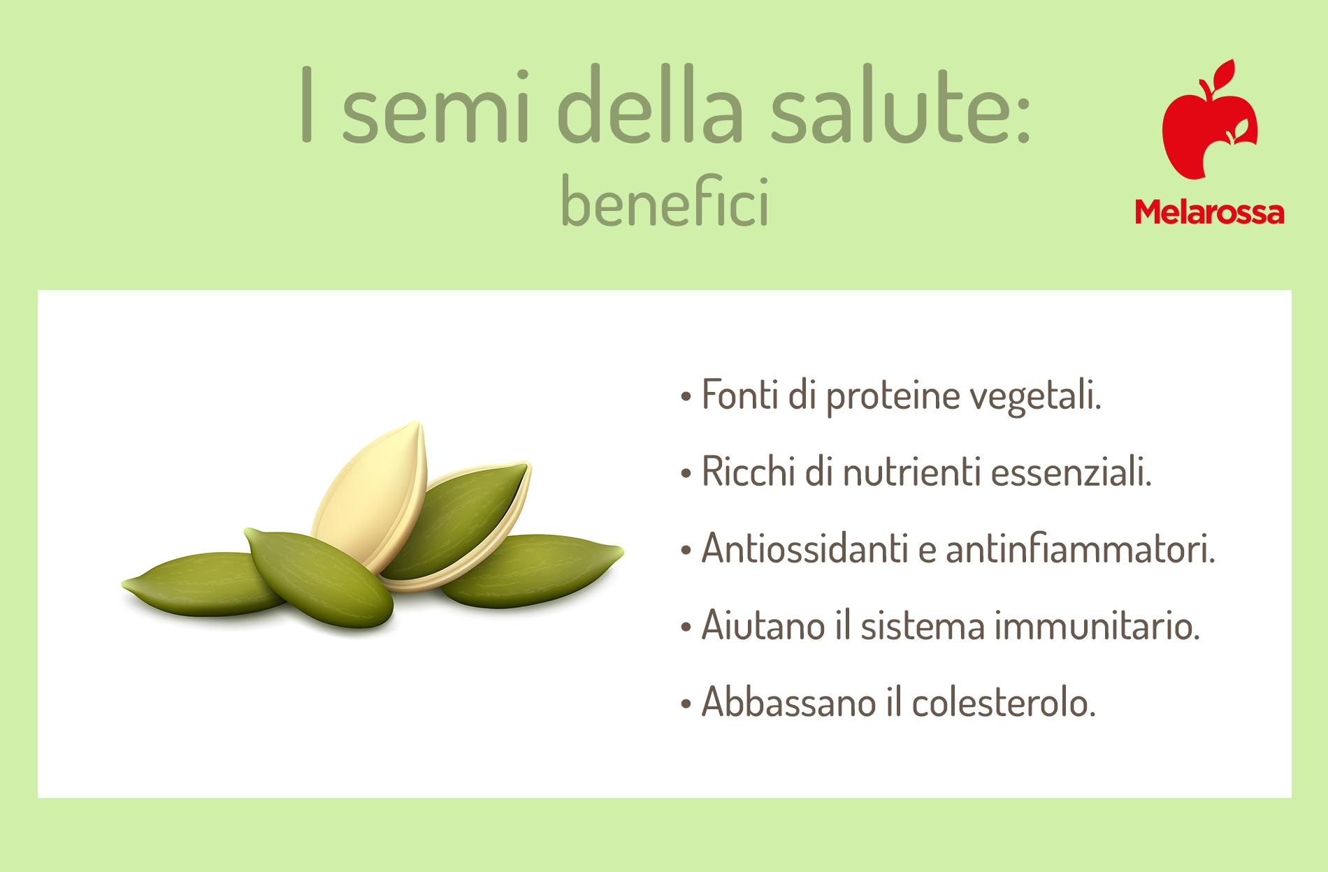 Semi da mangiare: quali sono, a cosa fanno bene e come inserirli nella dieta 1 semi della salute: i benefici