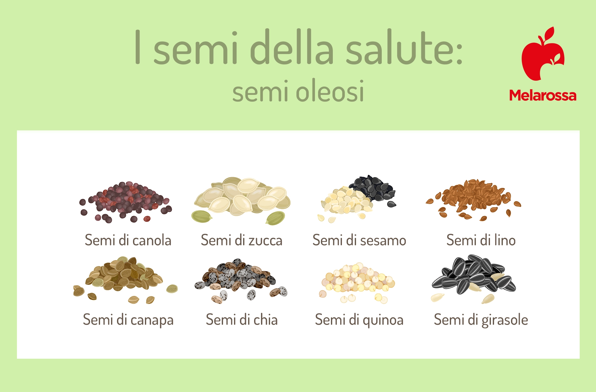 Semi da mangiare: quali sono, a cosa fanno bene e come inserirli nella dieta 2 Semi oleosi: quali sono?
