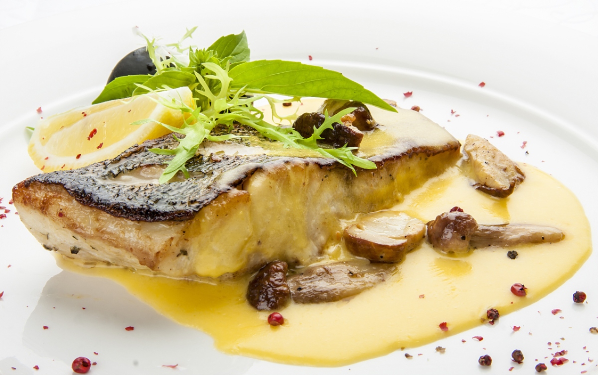 Pesce di lago, caratteristiche, benefici, digeribilità e le specie da conoscere 8 Pesce di lago: luccio