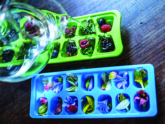 Cubetti di ghiaccio alla frutta 3 cubetti di ghiaccio le forme