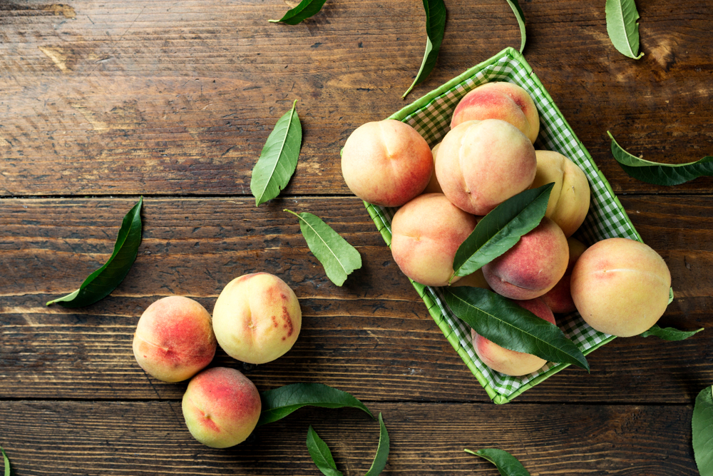 Scopri come conservare al meglio il cibo in estate! 1 Come conservare i cibi a temperatura ambiente