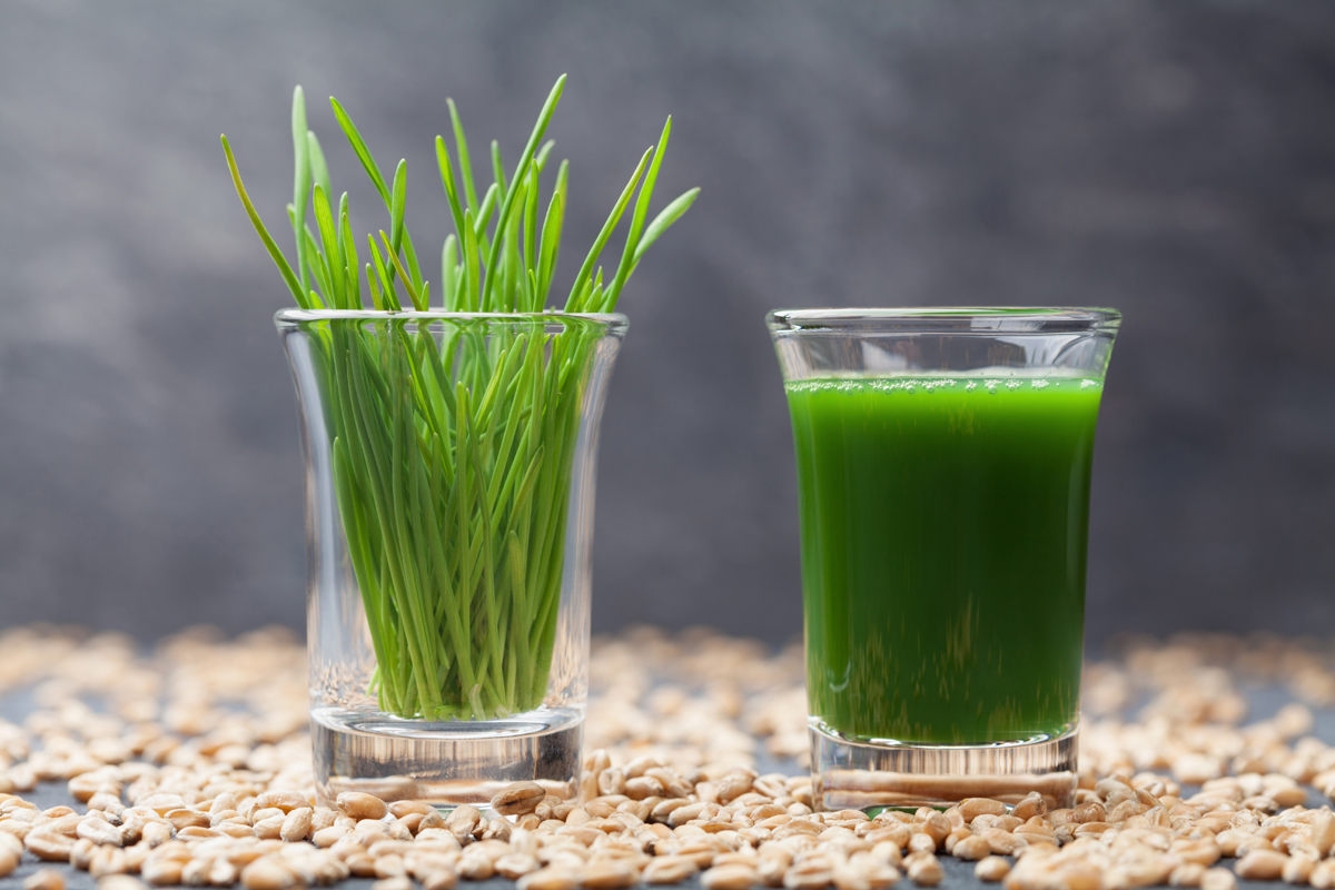 Alternative al caffè: 10 bevande energizzanti e salutari 8 succo di grano