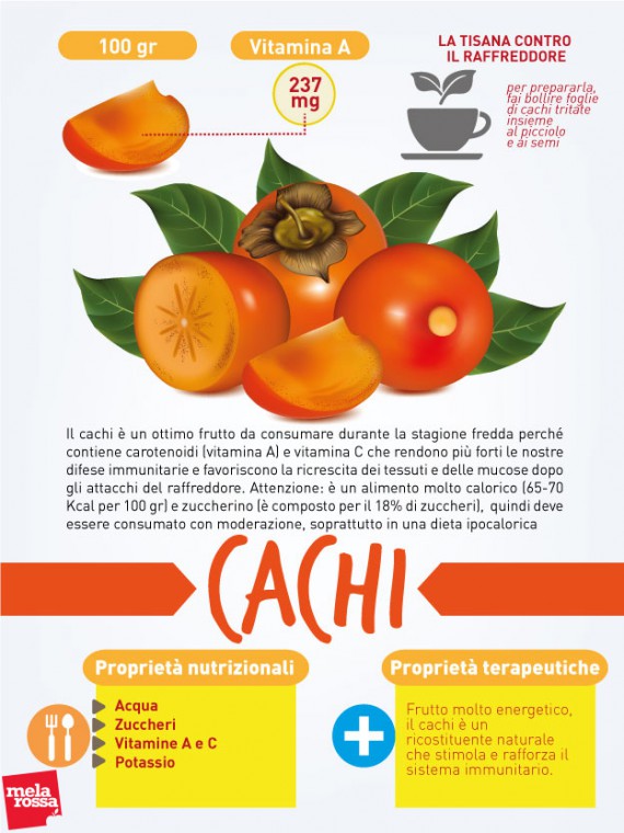 Cachi: cos'è, valori nutrizionali, benefici e usi in cucina e le migliori ricette 1 cachi: valori nutrizionali