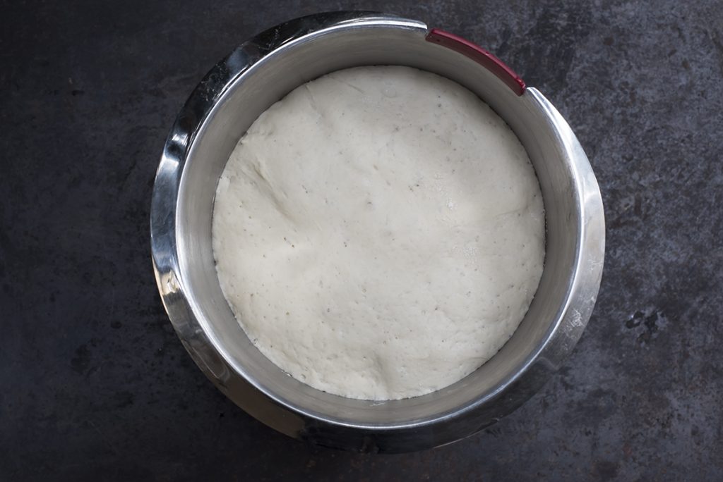 Panini fatti in casa, veloci e genuini 7 impasto panini lievitato