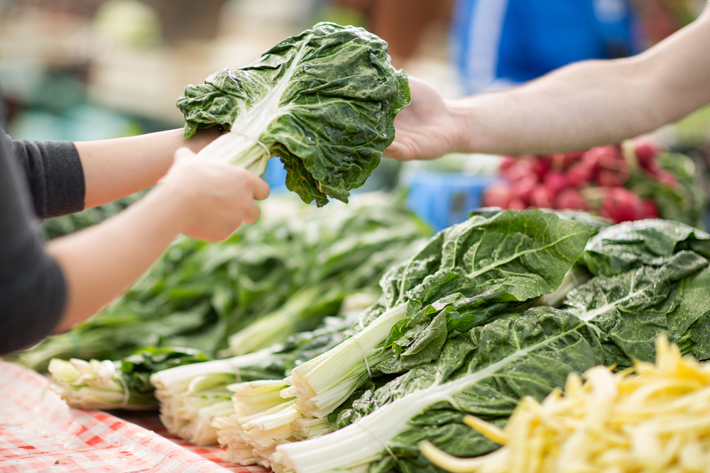 Bietole: proprietà nutrizionali, benefici e usi in cucina 6 bietole come sceglierle