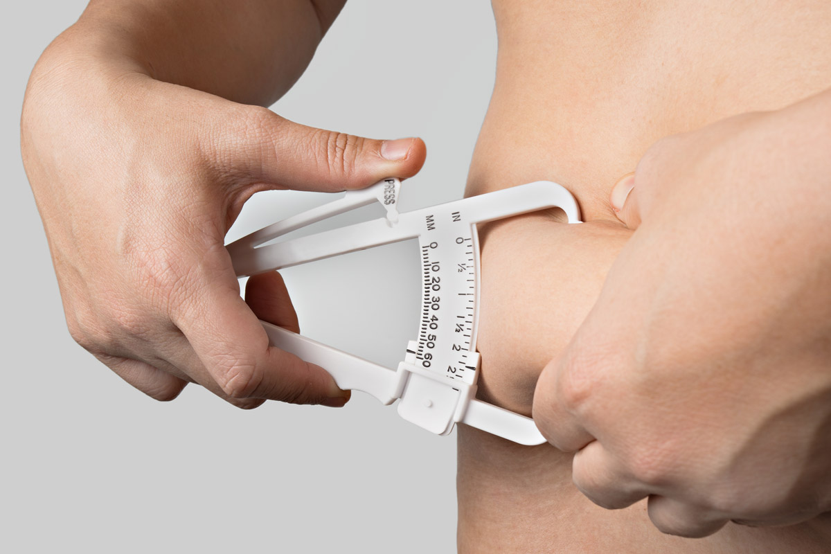 Dieta su misura: cos'è, come funziona, perché è la migliore per dimagrire? 1 dieta su misura composizione corporea