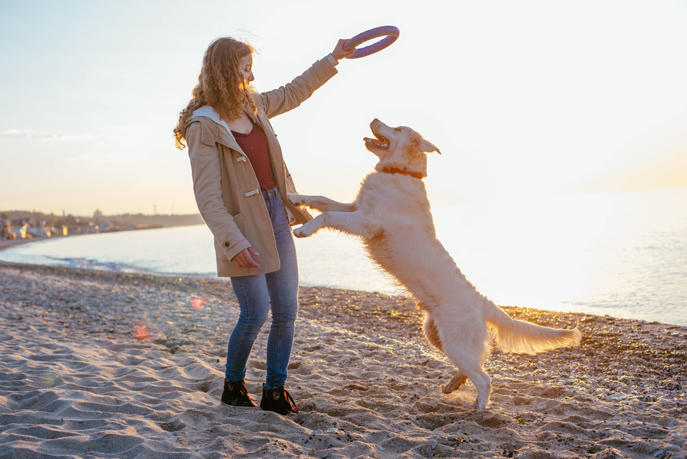 9 sport divertenti da praticare se odi la palestra! 2 giocare con il cane