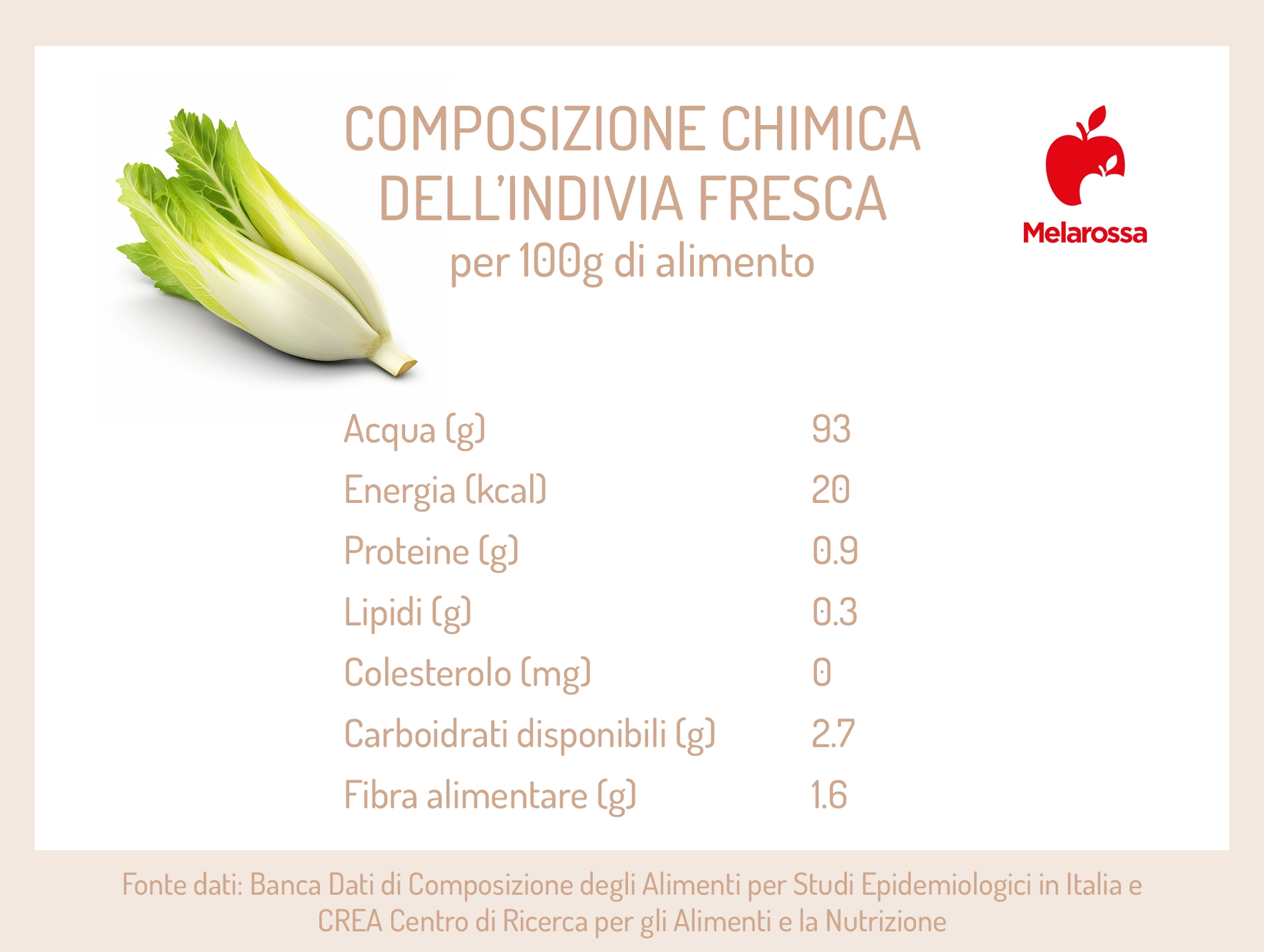 Indivia: proprietà, varietà e come si cucina 1 indivia fresca: composizione chimica