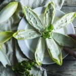 Barchette di indivia con mousse di robiola e tonno alle erbe 1 ricetta barchette indivia belga e robiola piatto