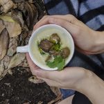 Zuppa di patate, porri e porcini 1 zuppa di patate porcini porri