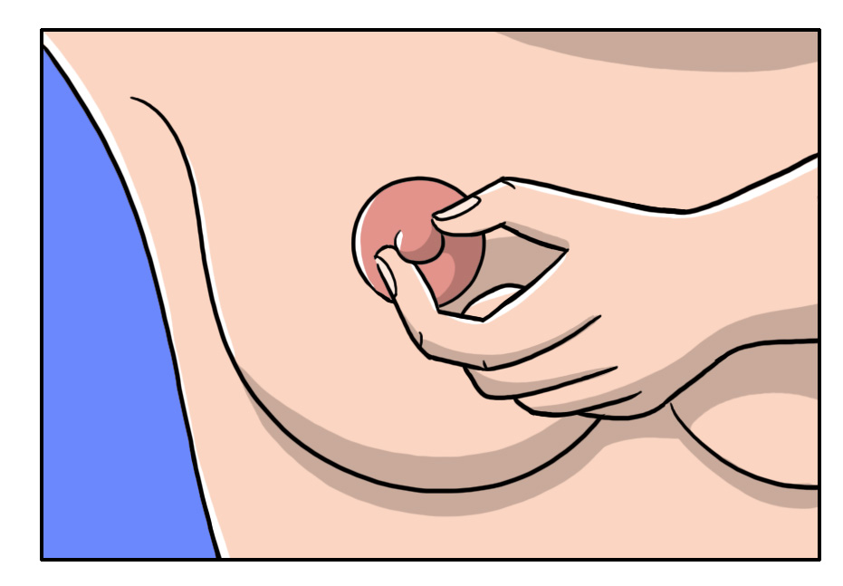 Tumore al seno: cos'è, sintomi e fattori di rischio, diagnosi, cure e terapie, prevenzione 8 tumore al seno: autopalpazione step 4