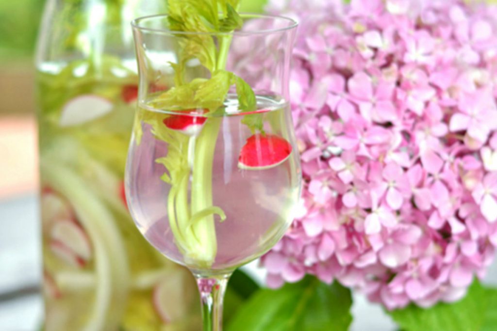 Sedano e sedano rapa: 5 ricette fresche e light 4 ricette con sedano, acqua detox