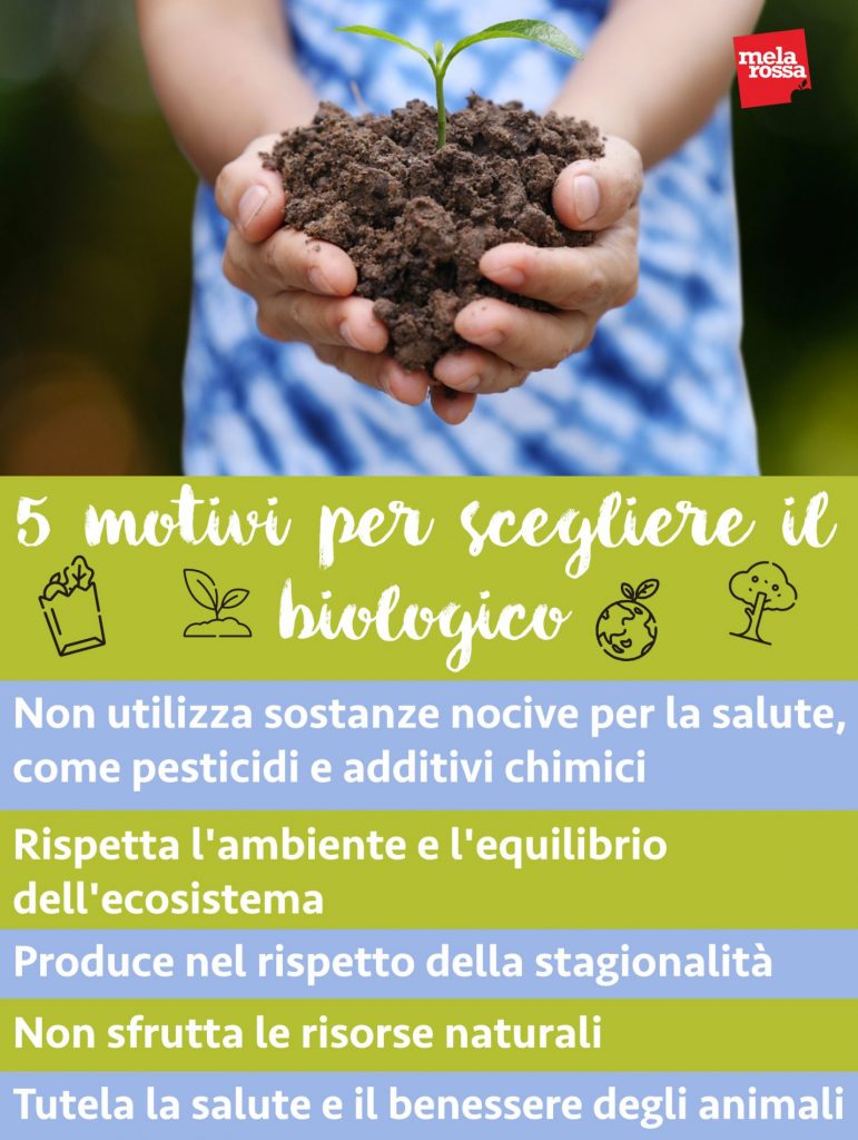 Alimentazione biologica: agricoltura, allevamento, metodi di produzione e benefici 4 alimentazione biologica motivi per sceglierla