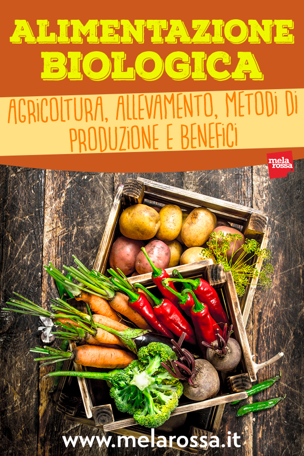 Alimentazione biologica: agricoltura, allevamento, metodi di produzione e benefici 5 alimentazione-biologica