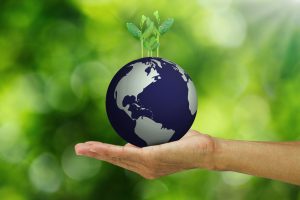 Una dieta sostenibile fa bene alla salute dell&rsquo;uomo e dell&rsquo;ambiente